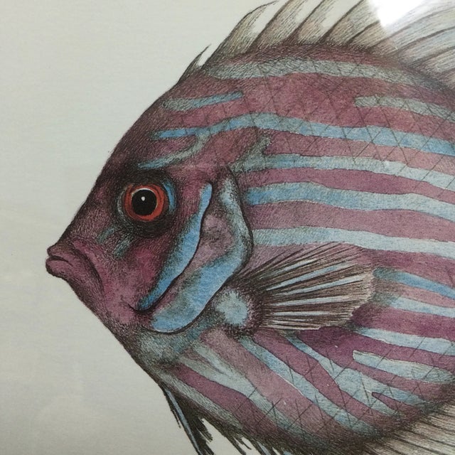 Wood Burl-Wood Framed Pair of Tropical Fish Prints by Jean Cassady For Sale - Image 7 of 10