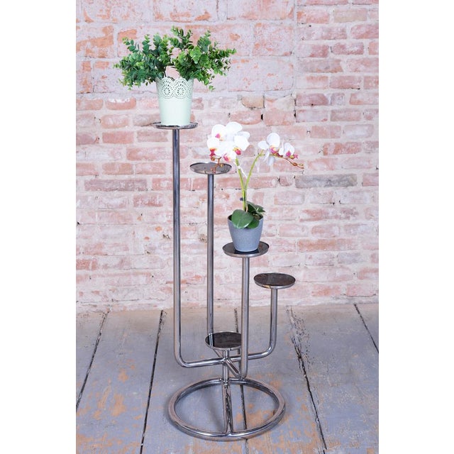 1930s Bauhaus Flower Stand in Chrome and Glass from Vichr & Co., Czech, 1930s For Sale - Image 5 of 8