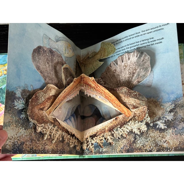 Nautical Sea Animal Pop Up Book For Sale - Image 3 of 8