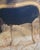Fine Antique Ca1900 French Small Stool Tapestry Covering For Sale - Image 9 of 11