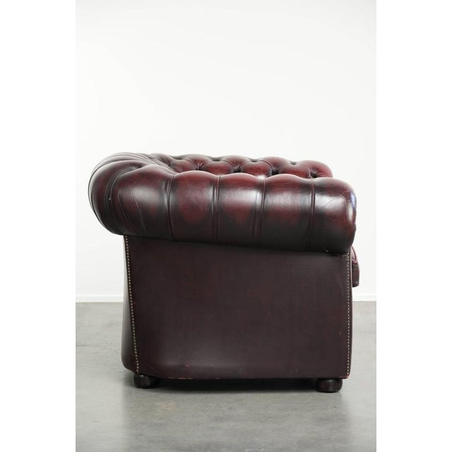 English Chesterfield Club Armchair For Sale - Image 3 of 14