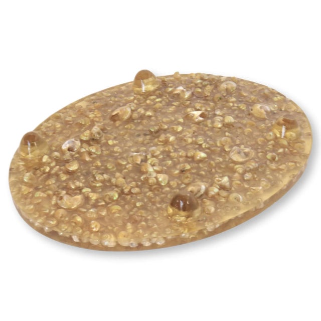 Unusual resin trivet with small, pearly shells. Made circa 1960s.