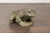 Gray Late 20th Century American Giant Stone Frog with Patina, Originally Used as a Fountain For Sale - Image 8 of 11