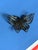 Silver Vintage 1960s Filigree Butterfly Brooch Pin With Cannetille Style Openwork For Sale - Image 8 of 16