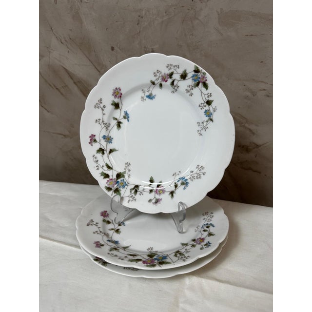 Dinner Plates from Limoges, 1900, Set of 27 For Sale - Image 13 of 16