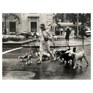 Thomas Consani, New York (Ten Dogs), 1994, Silver Print For Sale