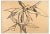 Reynold Arnould, Flowers, Drawing, 1970 For Sale
