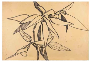 Reynold Arnould, Flowers, Drawing, 1970
