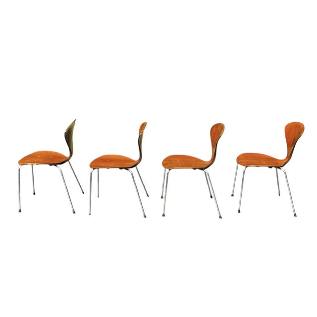 Mid-Century Modern Mid-Century Modern Bernardo by Plycraft Molded Plywood Dining Chairs - Set of 4 For Sale - Image 3 of 10