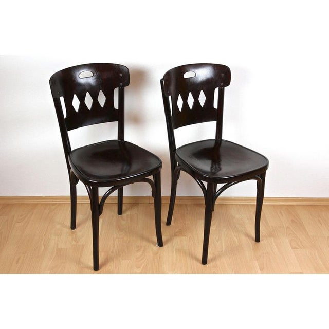 1910s Art Nouveau Bentwood Chairs attributed to Kohn, Vienna, 1910s, Set of 2 For Sale - Image 5 of 14
