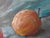 Impressionist Oil Painting Apples Mishurovsky v. V. For Sale - Image 3 of 9
