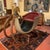 Louis XV Sleigh, 18th Century For Sale - Image 18 of 18