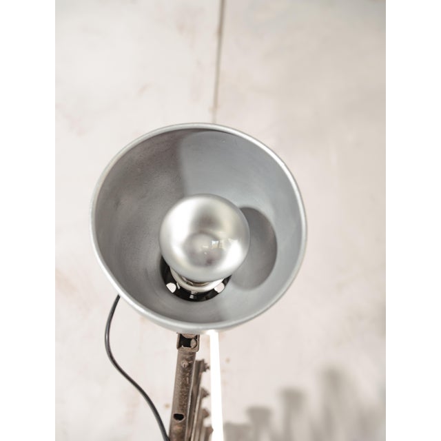 Metal Vintage Army Green Patina Scissor Lamp from Hala, 1930s For Sale - Image 7 of 18