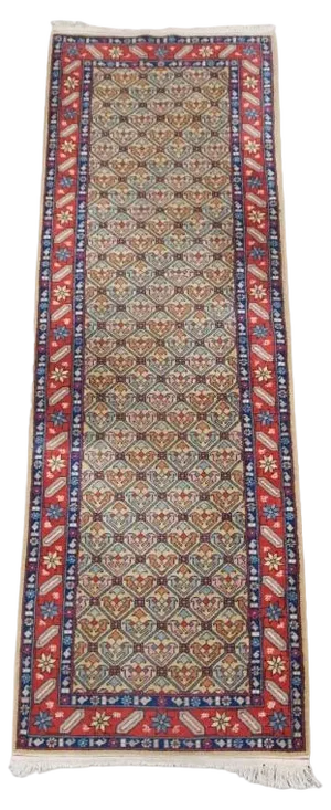 Colorful Middle Eastern Runner with Contrasting Edges