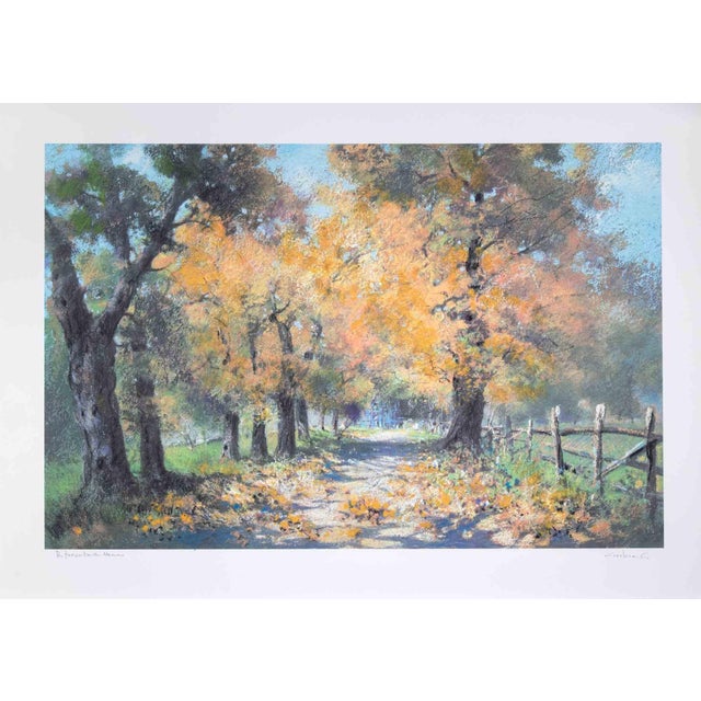 Contemporary Carlo Cordua, Autumn Landscape, Lithograph, 1980s For Sale - Image 3 of 3
