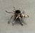 Silver Metal & Onyx Spider Brooch For Sale - Image 4 of 4