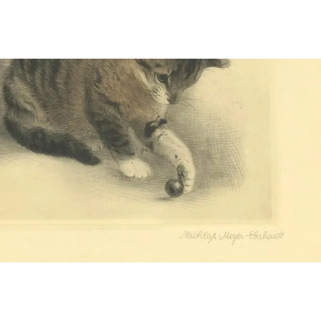 Kurt Meyer-Eberhardt, Kitten Playing with a Marble, 1977, Estate Print For Sale - Image 4 of 10