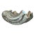 Vintage Cast Metal Giant Clam Shell For Sale