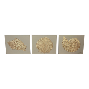 Gold & Beige Seashell Canvas Art Collection Trio, Designed by Cheryl P. Kohloff