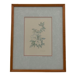 Margot Weemaes 1981 Rhododendron Fragrantissimum Botanical Portfolio Print For Sale