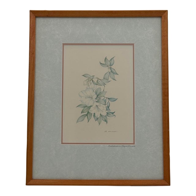 Margot Weemaes 1981 Rhododendron Fragrantissimum Botanical Portfolio Print For Sale