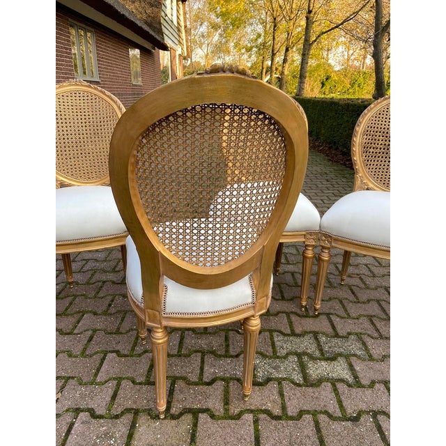 1970s French Artisan Louis XVI Gold Beech Cane Dining Chairs-Set of 4 Pc For Sale - Image 12 of 18