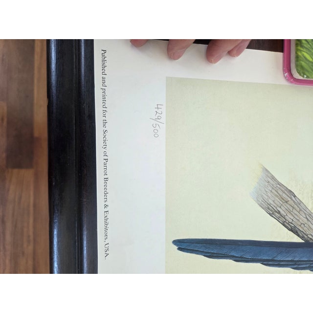 Mid-Century Modern 1988 Eric Peake Spix's Macaw Signed Limited Edition Print For Sale - Image 9 of 9