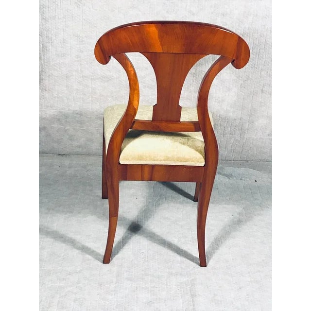 Early 19th Century Biedermeier Chairs, 1820s, Set of 6 For Sale - Image 5 of 7