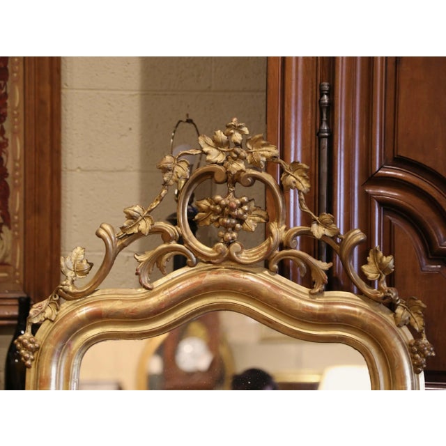 Late 19th Century 19th Century French Louis XV Giltwood Mirror With Carved Grape and Vine Crest For Sale - Image 5 of 9