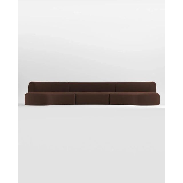 Contemporary Collector Curved Hug Sofa in Dark Brown by Ferrianisbolgi For Sale - Image 3 of 4