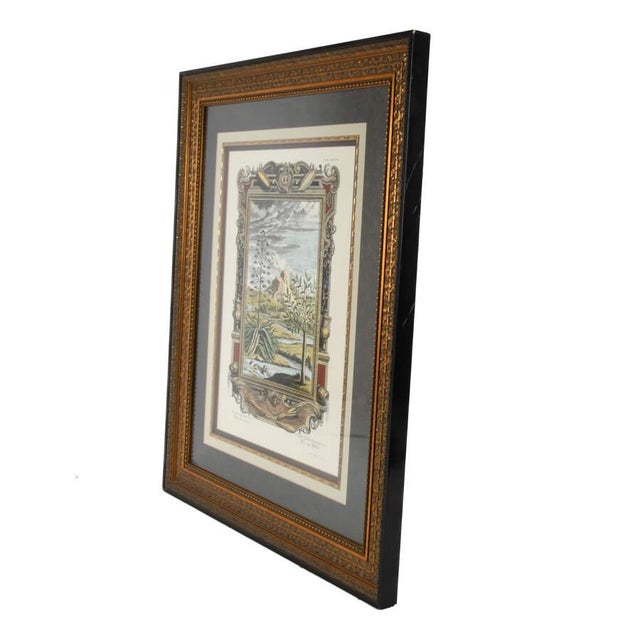 Late 19th Century Antique Etching by Johann J. Scheuchzer, After Prinz, "Aloe and Aquas", Framed For Sale - Image 4 of 11