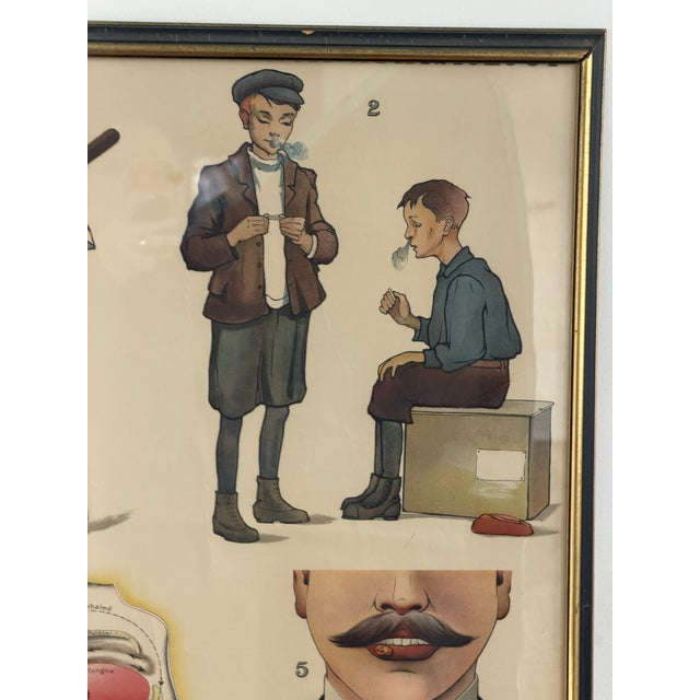 Late 19th Century W. & a.k. Johnston Effects of Tobacco on the Body Educational Chart For Sale - Image 4 of 6