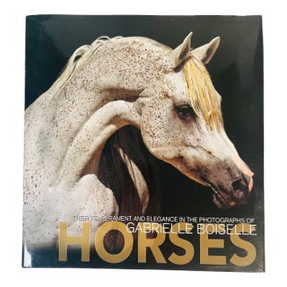 1970s Fabulous Book on Horses Illustrated For Sale