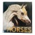 1970s Fabulous Book on Horses Illustrated For Sale
