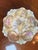 Ceramic Antique Porcelain Molded Floral Bowl Heavy Gold Gilt Ornate C1910 Orchids Roses For Sale - Image 7 of 17