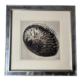 Trowbridge Gallery Ben Wood Signed Limited Edition Shell Giclée Print - Framed – Coa Included For Sale