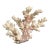5” Natural Stony Coral Specimen From the Scleractinia Order For Sale