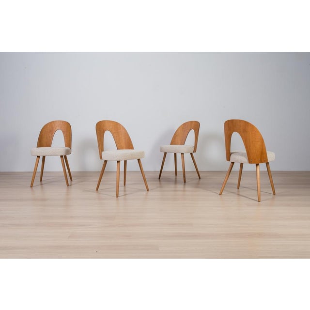 Walnut Dining Set by Antonín Šuman, 1960s, Set of 5 For Sale - Image 9 of 15