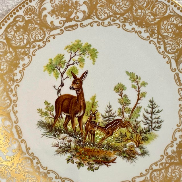 Vintage wildlife plate depicting and Deer and her Fawns on the inset of a white porcelain plate with ornate gold...