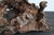 Antique Japanese Burl Wood Display Stand / Meiji-Showa / Organic One-of-a-Kind For Sale - Image 17 of 18