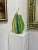 Afro Celotto is one of Murano's premier Glass Masters. His creations are procured by top glass collectors around the...