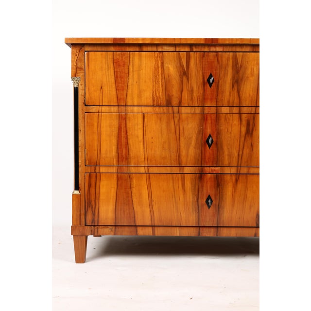 Antique Biedermeier Chest of Drawers in Applewood, 1820 For Sale - Image 12 of 13