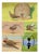 William Neave Parker, Bird Courtship Illustration, 1950s, Gouache Drawing For Sale