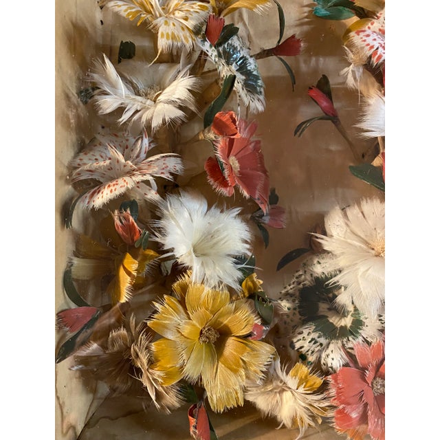 Glass Antique Framed Victorian Feather Wreath For Sale - Image 7 of 9