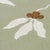 Schumacher Sample - Schumacher Lilla Embroidery Fabric In Olive For Sale - Image 4 of 5