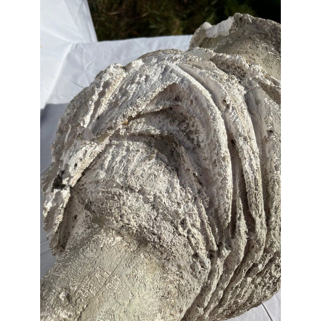 Antique Plaster Female Bust Sculpture For Sale - Image 9 of 9