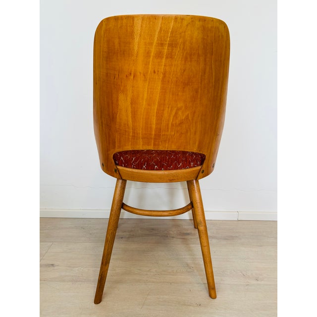 Wood Mid-Century Modern Dining Chair by Radomír Hofman for Ton, 1950s For Sale - Image 7 of 13
