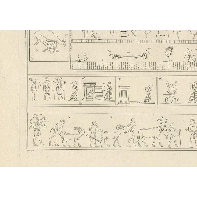 Egyptian Processions and Daily Life Reliefs, 1802, Paper For Sale - Image 6 of 9