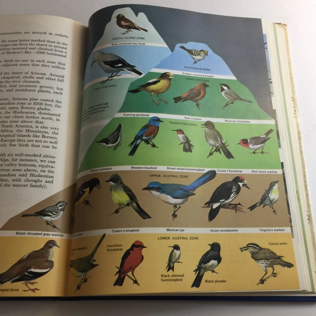 1977 World of Birds Roger Tory Peterson Book For Sale - Image 10 of 11