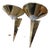 Vintage Postmodern Gilt Metal and Glass Wall Lights from Hustadt Leuchten, Germany, 1980s, Set of 2 For Sale